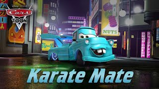 Cars Toons Karate Mate Parte 1 Español Latino Full HD [upl. by Siuoleoj]