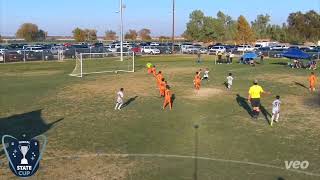 Boys Goals  NorCal State Cup U9U10 Finals 119 1110 2024 [upl. by Amekahs323]