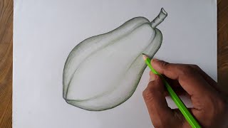 How to draw a papaya step by step so easy [upl. by Dal]