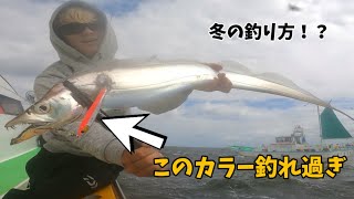 『解説あり』東京湾タチウオジギング DAIWAのNEWカラージグで冬の釣り方をしたらまさかの爆釣！？ [upl. by Haynor]