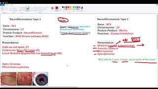 Neurofibromatosis Types 1 and 2 [upl. by Helprin]