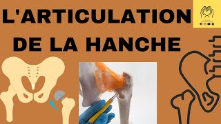 🦿 ARTICULATION de la hanche  coxo fémorale  rappel sur larthrologie🦴مفصل الحوض و مراجعة المفاصل [upl. by Kimmi]