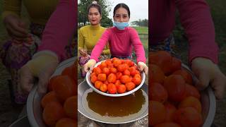 How to cook tomato sauce recipe shortvideo shorts cooking food recipe [upl. by Ailb]