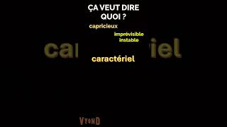 Être CARACTÉRIEL Vocabulaire en français facile learnfrench [upl. by Bonner726]