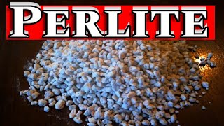 The Ultimate Guide to Perlite Benefits Uses and Drawbacks for Horticulture [upl. by Raphael]