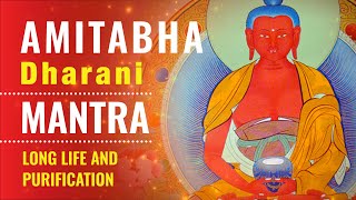 Amitabha Pure Land Dharani and Mantra— chant along for long life and purification of obstacles [upl. by Antonetta]