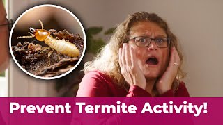 Prevent Termite damage by calling the experts at Killingsworth Environmental [upl. by Kind]