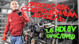 Дизель которым можно гордиться 8клапанный 16 HDI для Ford Peugeot и Citroёn DV6C  DV6D [upl. by Anitnamaid]