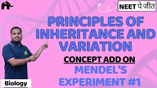 Principles of Inheritance and Variation Class 12 Biology NEET NCERT Chapter 4 Mendels Experiment 1 [upl. by Cinnamon]