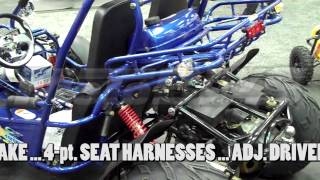 Trailmaster XRS 150 Buggy  GoKartNow With Upgraded 5Point Harness  Motobuys [upl. by Center665]