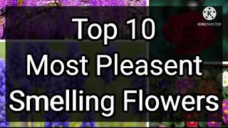 Top 10 most pleasant smelling flowers in the world Biologicallife [upl. by Anitsuj]