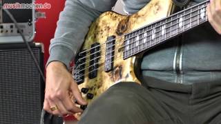 Marleaux MBass Custom 5String Bass im Test [upl. by Aivatco]