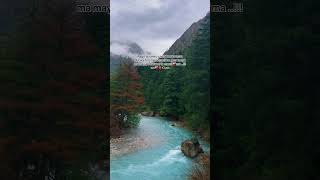 Maya Lu basane ta manai ma 🤭🫀 army dolpa music love upperdolpa [upl. by Ieso967]