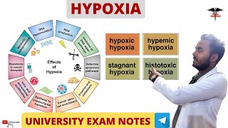 Hypoxia  Types Of Hypoxia Effect Of Hypoxia  Respiratory system physiology [upl. by Hansen]