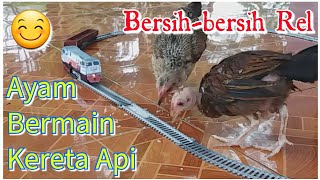 Si Ayam Petugas Kebersihan Rel Kereta Densha  Main Kereta Api Bareng Hewan Peliharaan Mbah Nasim [upl. by Aihsena]