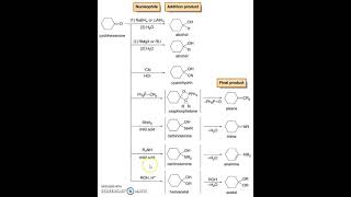 Reactions of Cyclohexanone [upl. by Remo30]