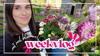 START CURSUS FLORIST IN AVONDSCHOOL amp NAAR DE PLUKWEIDE  WEEKVLOG 2024 [upl. by Stolzer]