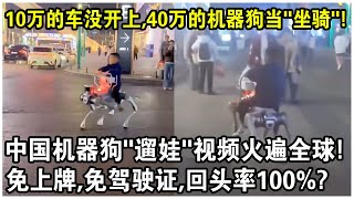 10万元的車還沒開上，40萬的機器狗已經當“坐騎”了？中國機器狗“遛娃”視頻火遍全球！免上牌，免駕駛證，回頭率100？ [upl. by Nwahsor]