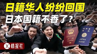 大批日籍華人回國，希望國家重新接納，日本國籍為何不香了？ [upl. by Ignacia]