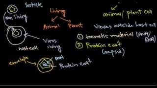 1 virus structure introduction [upl. by Khalid]