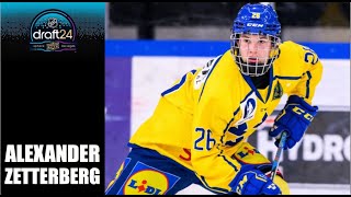 2024 NHL Draft  Alexander Zetterberg  2324 Highlights Hlinka Gretzky Cup  U18 [upl. by Branscum801]