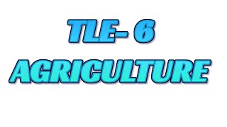 FOURTH QUARTER EXAM TLE AGRICULTURE [upl. by Emyam]