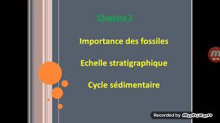 Fossiles et fossilisation 1AC [upl. by Ambie]