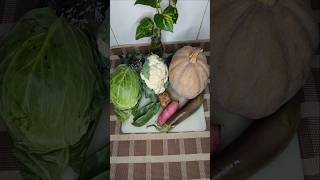 Niramish Mix Veg Recipe  Bengali Style Labra Recipe food shorts viralvideo [upl. by Frager]