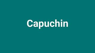 Capuchin Meaning and Pronunciation [upl. by Judy472]