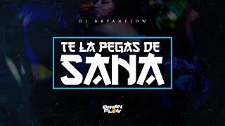 DJ Bryanflow  TE LA PEGAS DE SANA Ft Nene Blass [upl. by Stutsman]