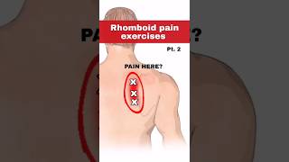 Rhomboid pain relief exercise [upl. by Umberto497]