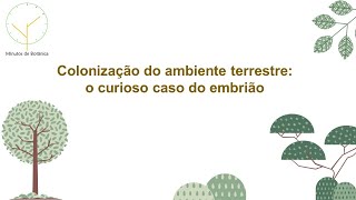 Vídeo 03  Colonização do ambiente terrestre o curioso caso do embrião [upl. by Anora529]