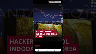 Hacker Pembobol Indodax dari Korea Utara [upl. by Altheta]