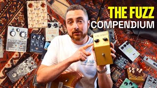 Watch This Before You Buy a Fuzz Pedal The Fuzz Compendium [upl. by Harman]