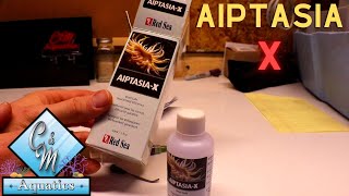 How to use aiptasia x [upl. by Kele]