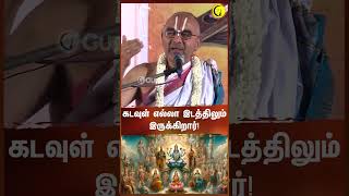 கடவுள் எல்லா இடத்திலும் இருக்கிறார்  Sri Velukudi Krishnan Swamy shorts tirukural sanathanam [upl. by Akciret430]