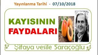 KAYISININ FAYDALARI  Şifaya vesile Saraçoğlu [upl. by Duomham891]