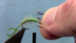 Tying with Hans Hydropsyche Caddis Larvae [upl. by Grossman]