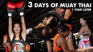 My 3 Day Muay Training in Thailand 1 Year Later [upl. by Bunni889]