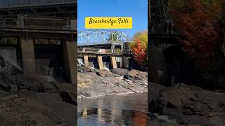 Bracebridge Falls in Canada fallseasoncanadateslamotorstrendingshorts [upl. by Apostles771]