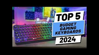 5 BEST Budget Gaming Keyboards 2024 [upl. by Atnwahsal223]