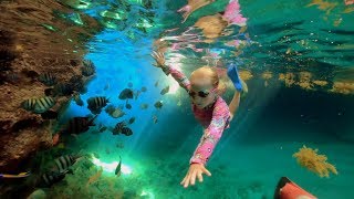 Swimming Deep in the Ocean Caves in the Bahamas [upl. by Sirej399]