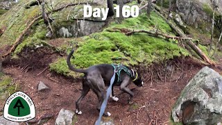 Day 160  Fourth Mountain Bog  Appalachian Trail 2024 [upl. by Wolfy]