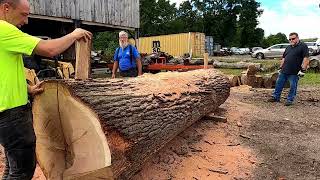 quarter sawing a monster white oak log  463 [upl. by Nylrebmik]