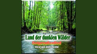 Land der dunklen Wälder Ostpreußenliedinstrumental [upl. by Darrelle]