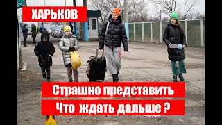 Ужас что творится с Как выжитьЧто ждать завтраКартошкаЯйцаЯблокиХарьков 5 ноября 2024 [upl. by Ahtiekahs]