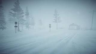 8 Hours Blizzard Sounds amp Howling wind  Winter Storm Sounds  Heavy Snowstorm [upl. by Sebbie666]