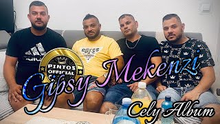 Gipsy Mekenzi Mix Postupky 2021 2022 [upl. by Lionello]