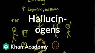 Psychoactive drugs Hallucinogens  Processing the Environment  MCAT  Khan Academy [upl. by Trebmer76]