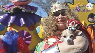 Mardi Gras for All Yall 2022 Mystic Krewe of Barkus [upl. by Paff]